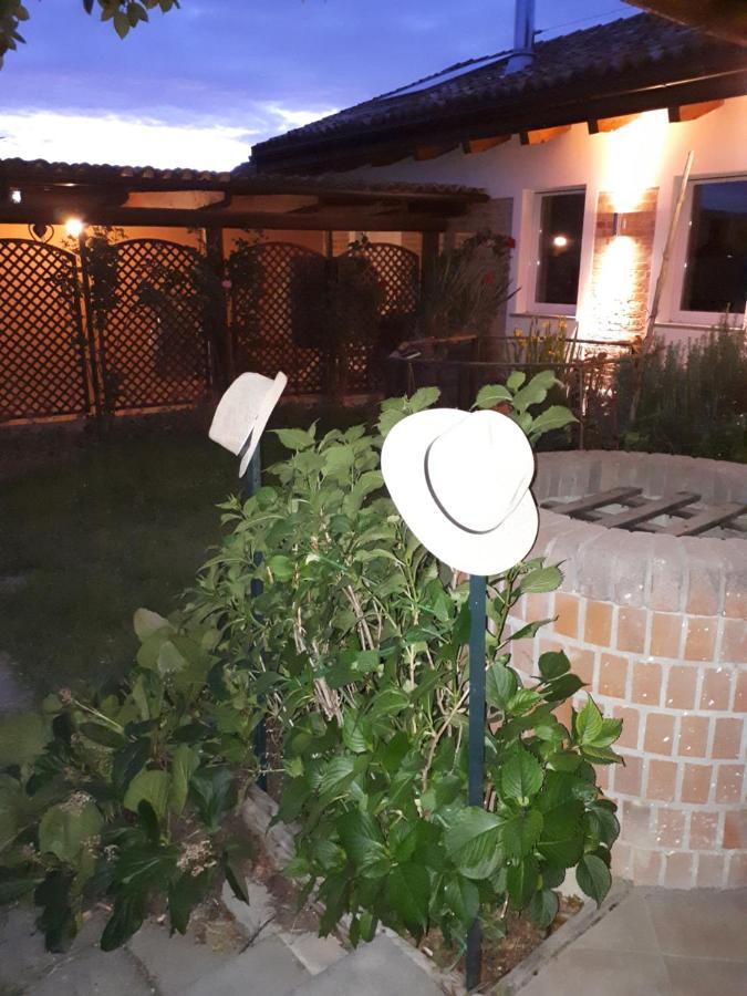 Casa vacanze LITTLE FROG Agliano Terme Exterior foto